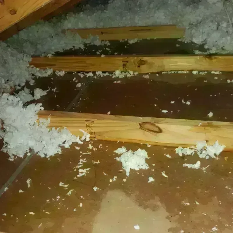 Attic Water Damage in Berryville, TX